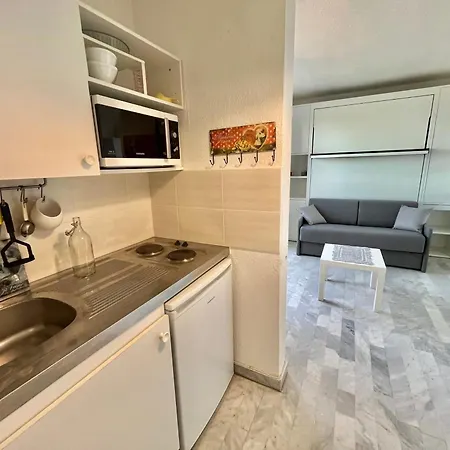 Studio climatisé avec grande terrasse et parking privé, proche plage et commerces - FR-1-716-60 * La Grande-Motte
