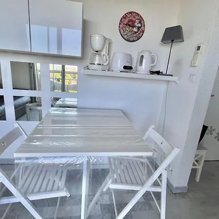 Grand Studio Climatise Avec Parking Prive A La Grande Motte - Fr-1-716-60