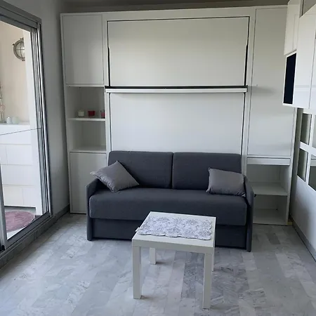 Climatise Avec Grande Terrasse Et Parking Prive, Proche Et Commerces - Fr-1-716-60 Apartment La Grande-Motte